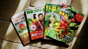 野菜作りで重要な土づくりとヘアケア＆スキンケアの共通点